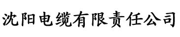 香蕉中文视频电缆厂logo